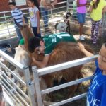 Project Transformation Adventure Week